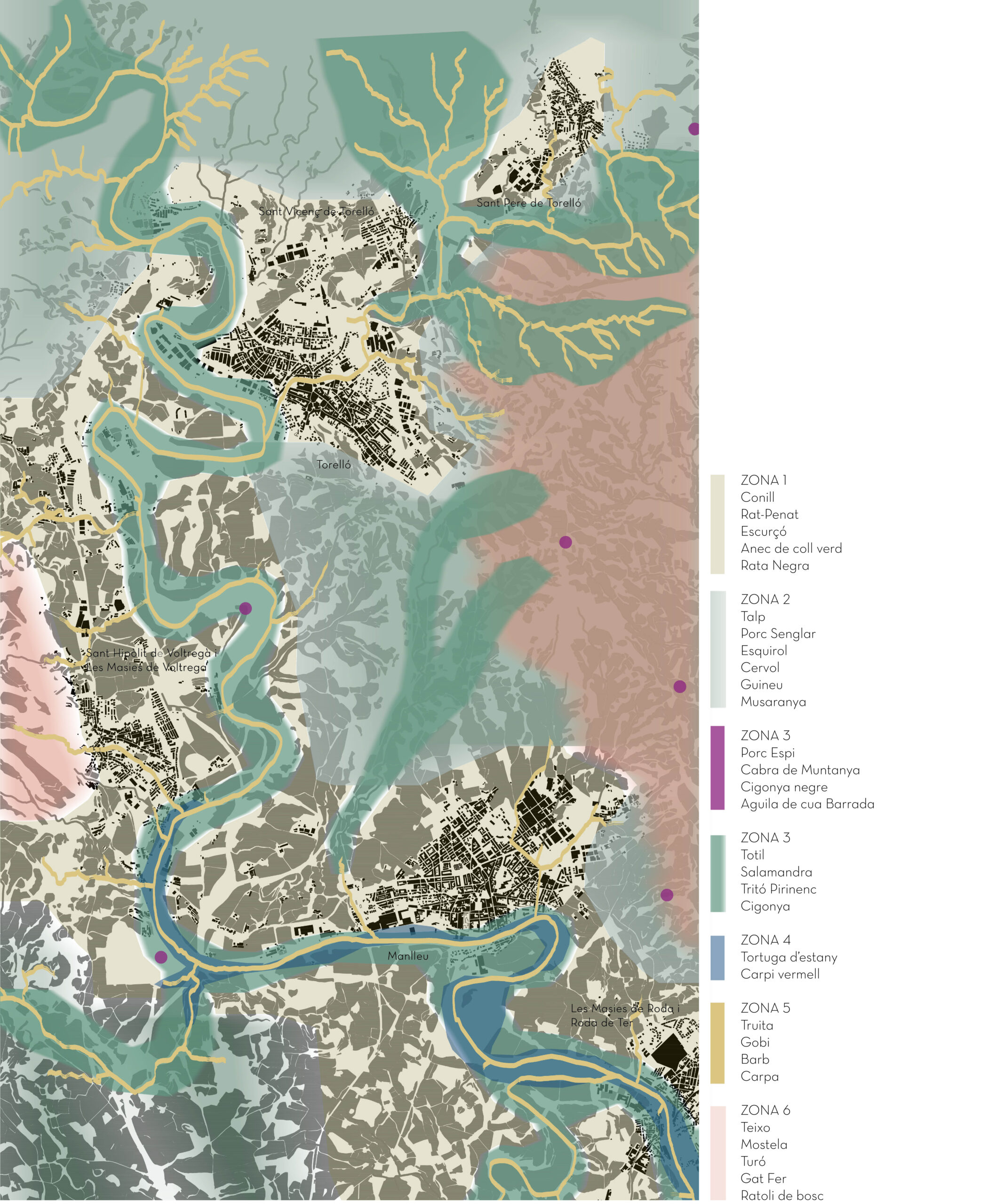 More than a barrier21